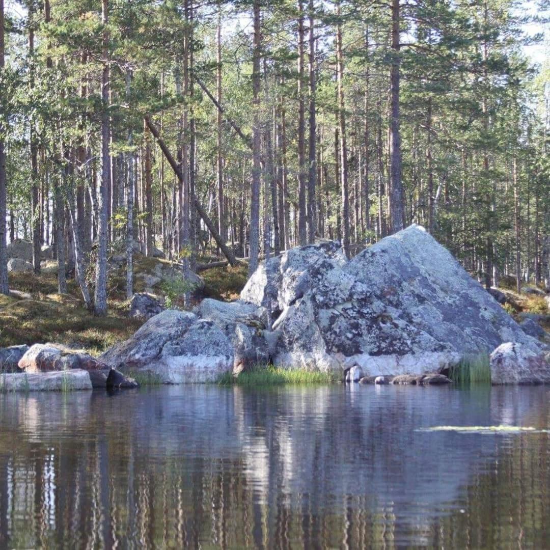 Hamra Stugby - Nature Adventures Hamra Eksteriør billede