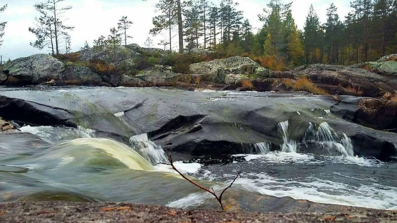 Hamra Stugby - Nature Adventures Hamra Eksteriør billede
